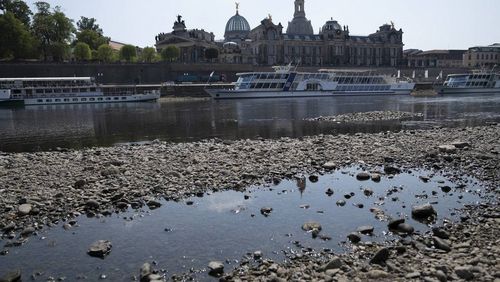 Niedrigwasser der Elbe in Dresden. (Foto: André Künzelmann / UFZ)